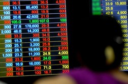 MSN tăng trần kéo VN-Index tăng hơn 7 điểm