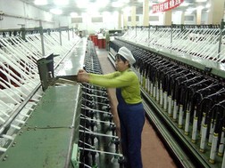 Việt Nam – Cơ hội kiếm tiền đến từ những yếu tố khác biệt