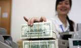 Lãi suất ngoại tệ 